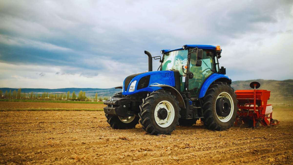 Siew w grudniu - tak czy nie?