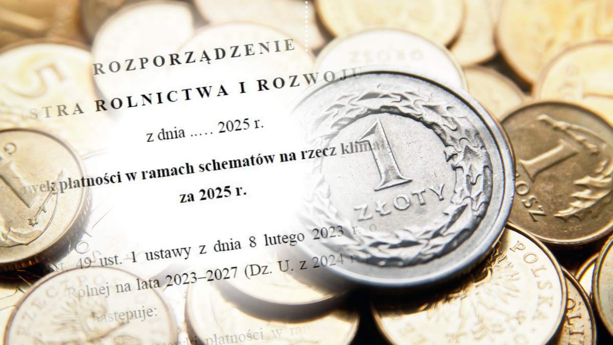 Poznaliśmy stawki tegorocznych ekoschematów.