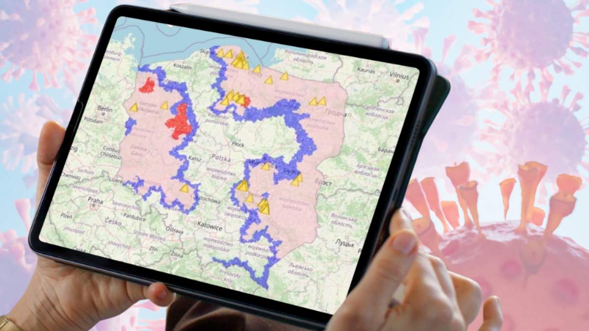 Zgodnie z najnowszymi danymi Głównego Inspektora Weterynarii do tej pory odnotowano w Polsce 2.247 przypadków ASF u dzików.