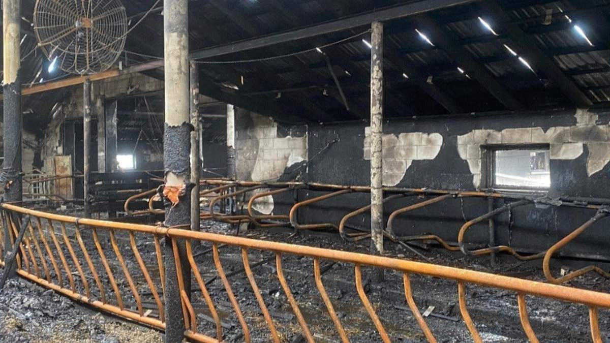 Ogromny pożar w gospodarstwie, w którym zginęło bydło. Można pomóc rolnikom