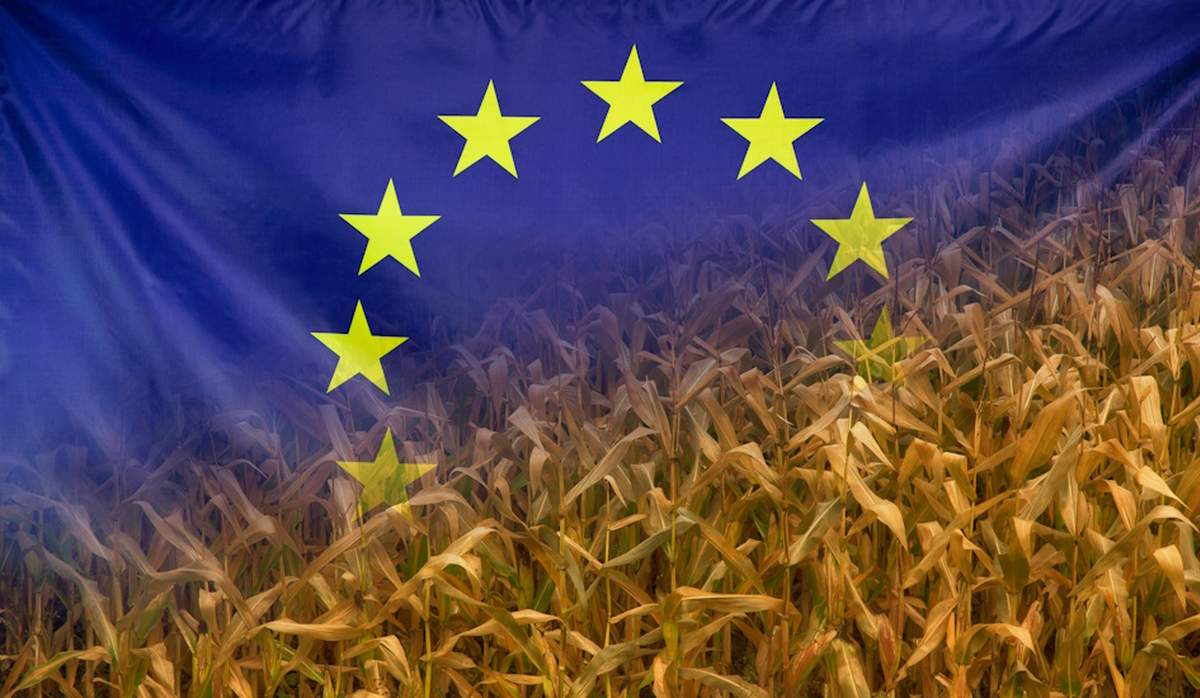 Komisja Europejska rozważa reformę budżetu UE. Możliwe zmiany dotyczą m.in. systemu finansowania unijnego rolnictwa