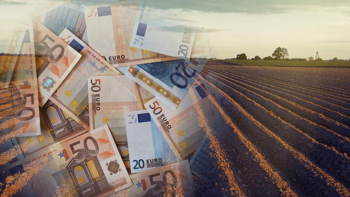 Poznaliśmy minimalne kwoty wsparcia dochodów w ramach WPR 2028-2034 z podziałem na państwa w UE.