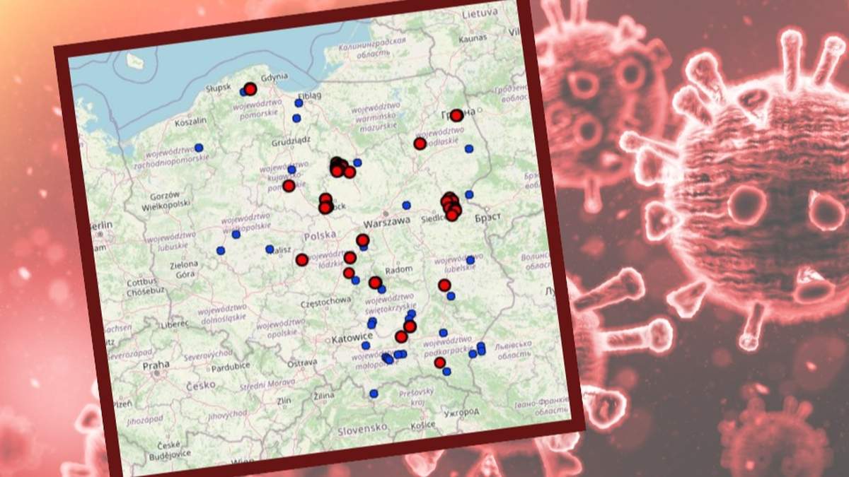 W 2025 roku w gospodarstwach komercyjnych stwierdzono w sumie 45 ognisk ND, w których utrzymywano łącznie ponad 4,5 mln sztuk drobiu.