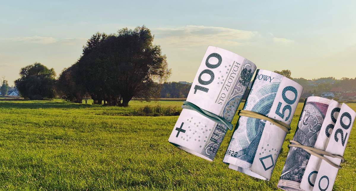 Analitycy nie mają złudzeń: ceny ziemi będą rosły