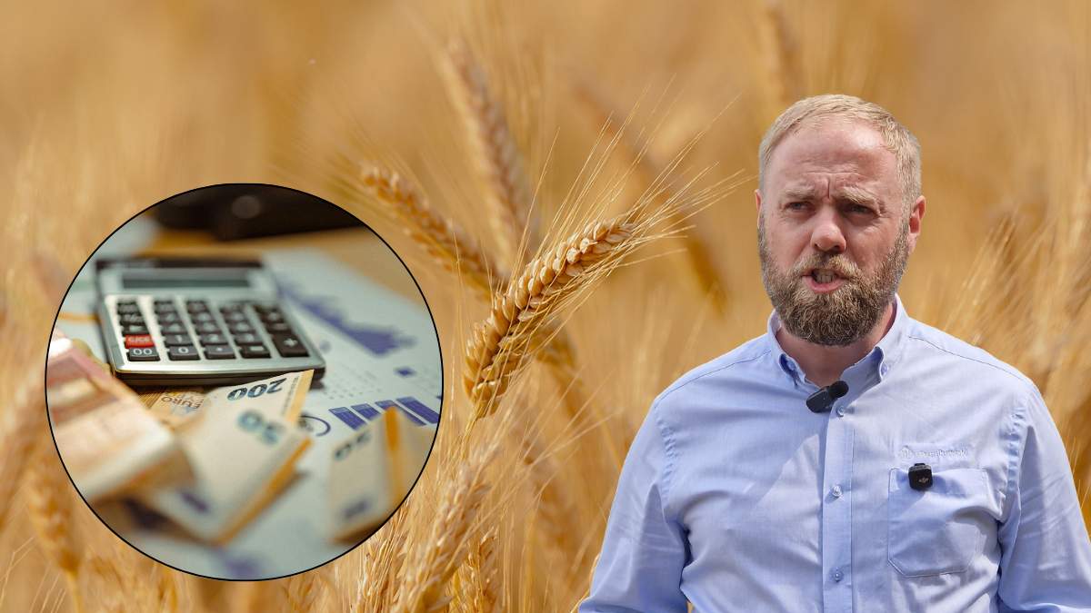 Co hamuje rozwój rynku i ceny zbóż w Polsce? Ekspert wskazuje na jeden czynnik