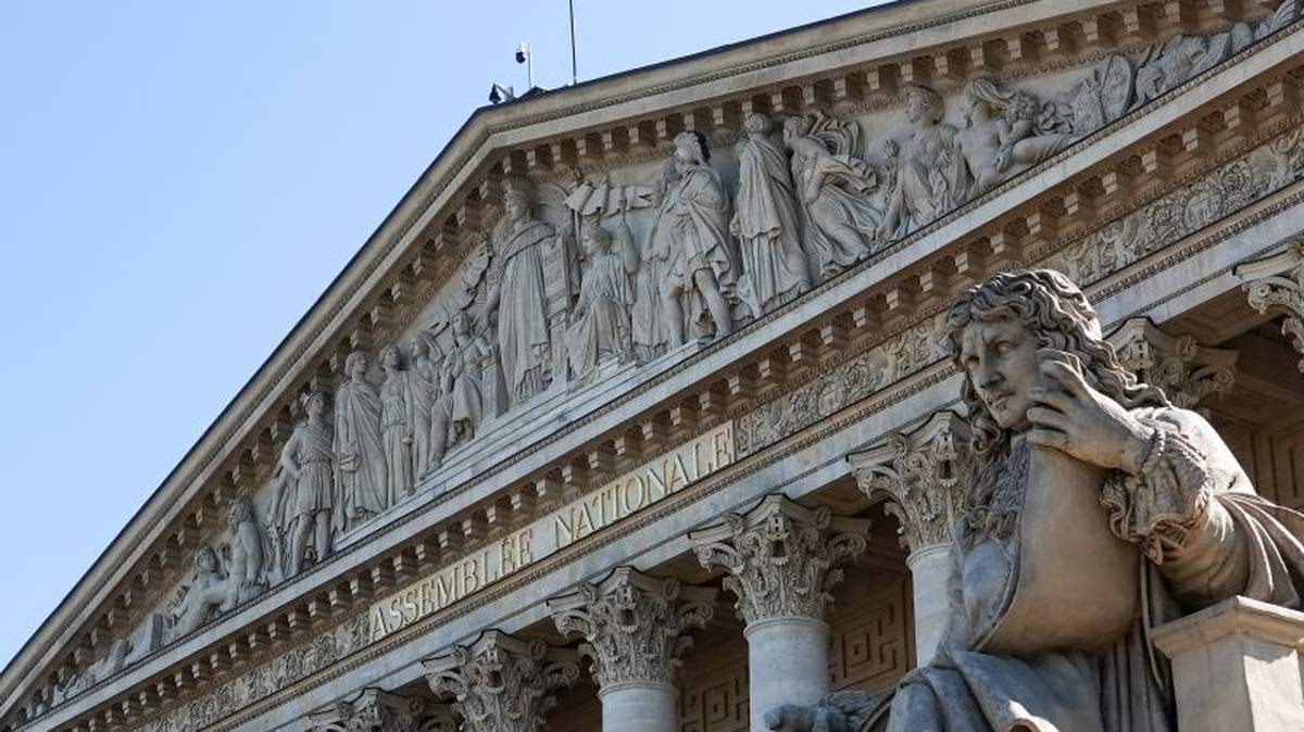 Petycją ws. rolniczej ustawy dopuszczającej stosowanie we Francji acetamiprydu może zająć się Zgromadzenie Narodowe