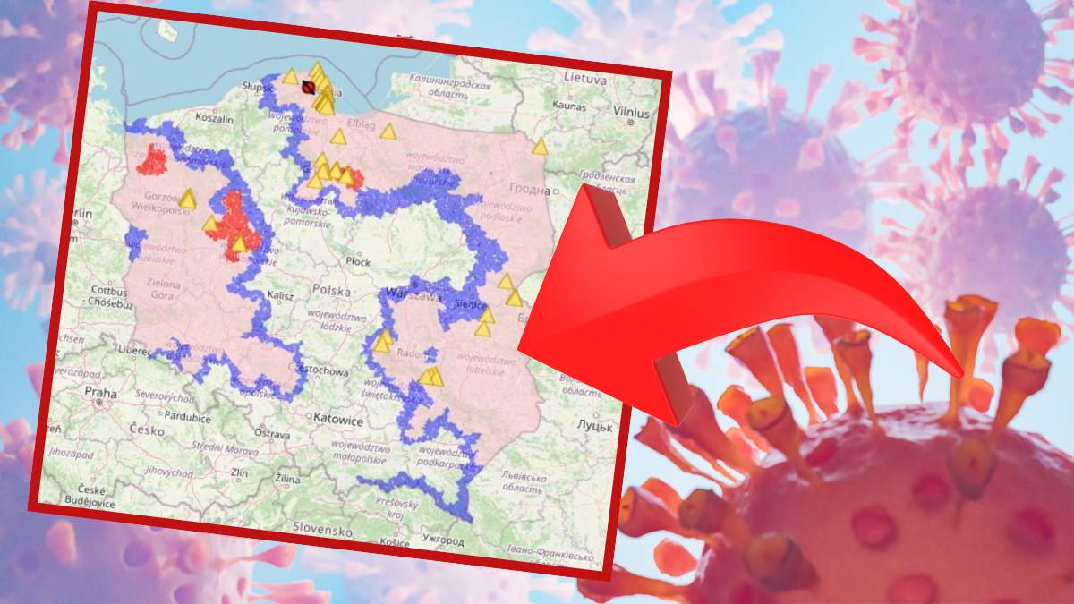 O wykryciu ASF w jednym z gospodarstw poinformował Wojewódzki Inspektorat Weterynarii w Lublinie. To pierwsze w tym roku ognisko na Lubelszczyźnie - wykryto je w pow. bialskim.
