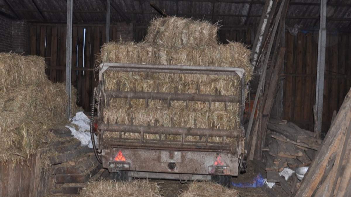 Wypadek podczas zwożenia siana