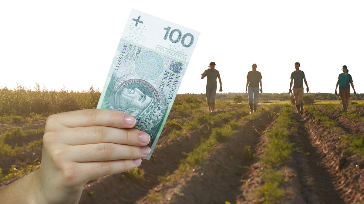 W ramach naboru trwającego od 4 do 16 kwietnia 2025 r., do Agencji Restrukturyzacji i Modernizacji Rolnictwa wpłynęło 52,2 tys. wniosków o pomoc suszową dla rodzin.