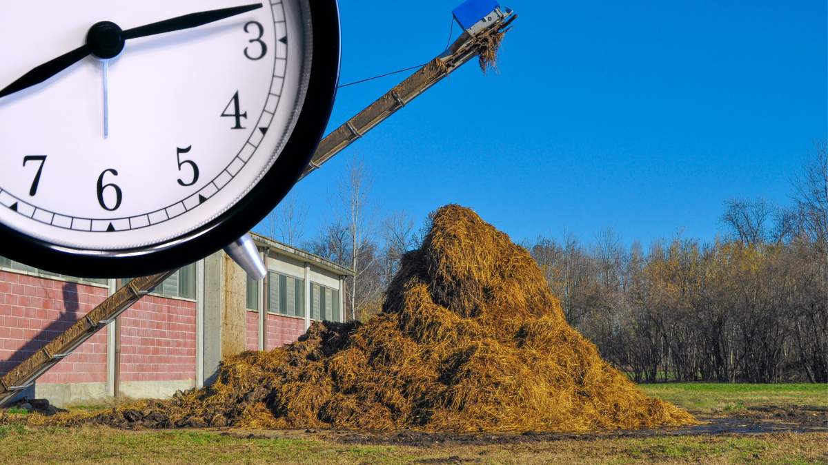 Duże kary za brak płyty obornikowej. Rolnicy dostaną więcej czasu na dostosowanie