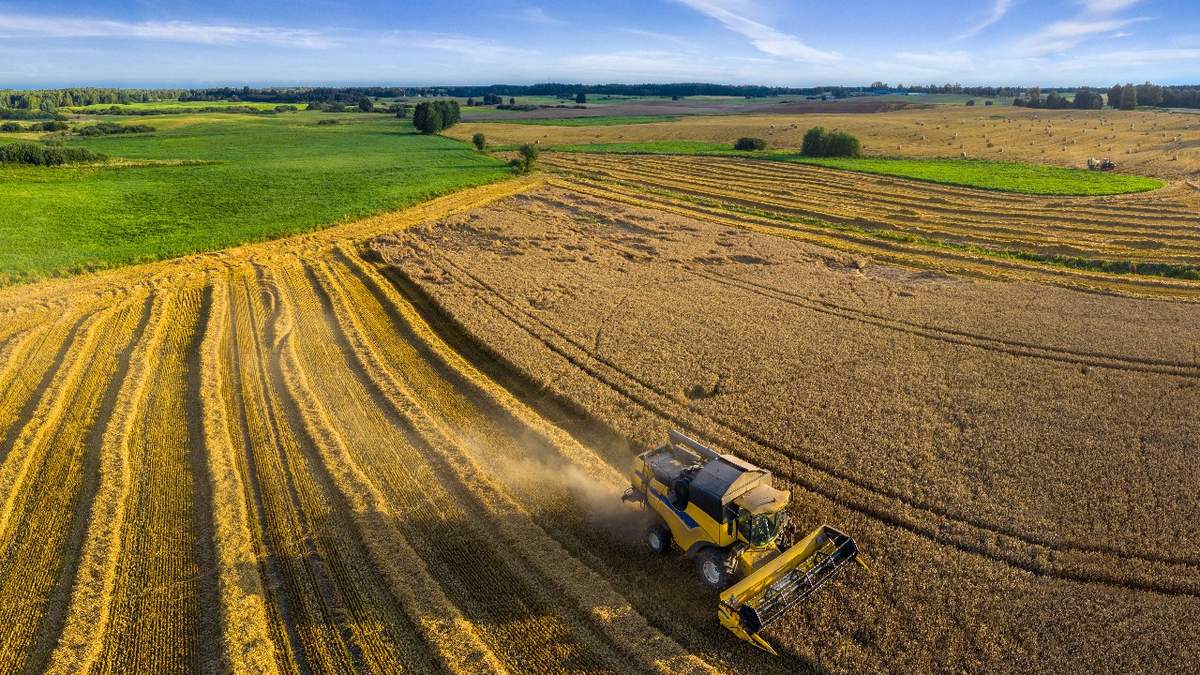 Prognozy pogody na najbliższe dni są obiecujące. Opadów ma być niewiele