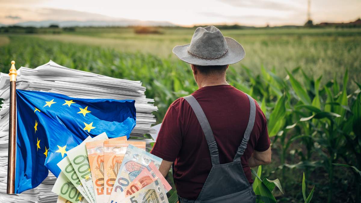 Szereg działań mających na celu wsparcie polskich rolników, takich jak: kredyty preferencyjne, premie dla młodych rolników oraz przyspieszenie wypłat dopłat bezpośrednich - przedstawił dziś minister rolnictwa, Stefan Krajewski.