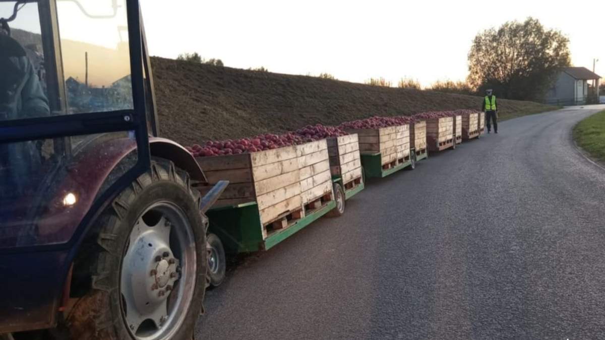 Policjanci przecierali oczy ze zdumienia. Co zrobiła rolniczka?