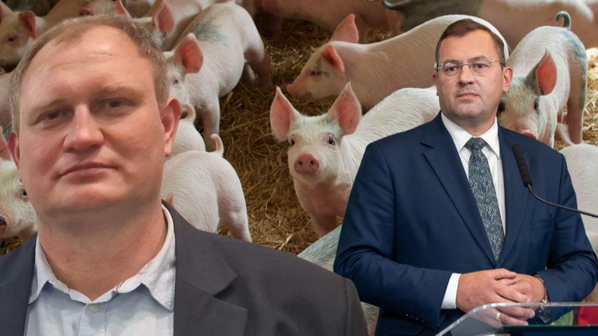 Rolnik dostał ogromną karę za smród chlewni. PSL pokryje tę kwotę