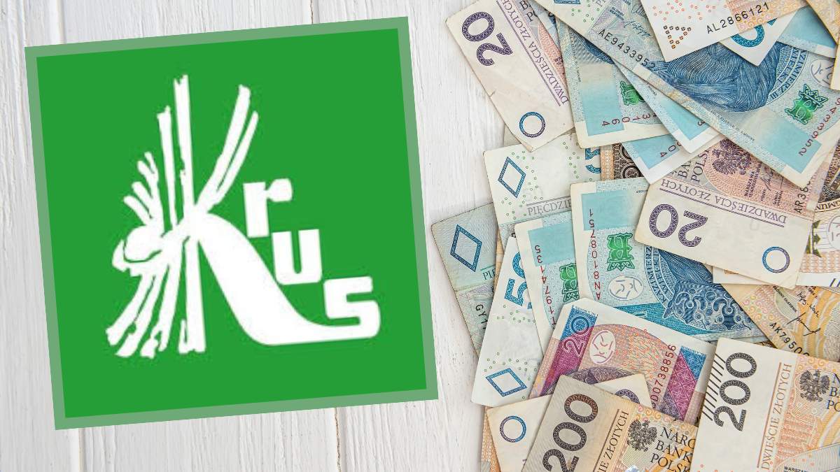 Każdy rolnik, który ma u siebie pomocnika, powinien zgłosić go do ubezpieczenia w KRUS. Jeśli tego nie zrobi - pozbawi go prawa do świadczeń z tytułu wypadku przy pracy w gospodarstwie rolnika, a także prawa do świadczeń z ubezpieczenia zdrowotnego w okresie wykonywania pomocy przy zbiorach.