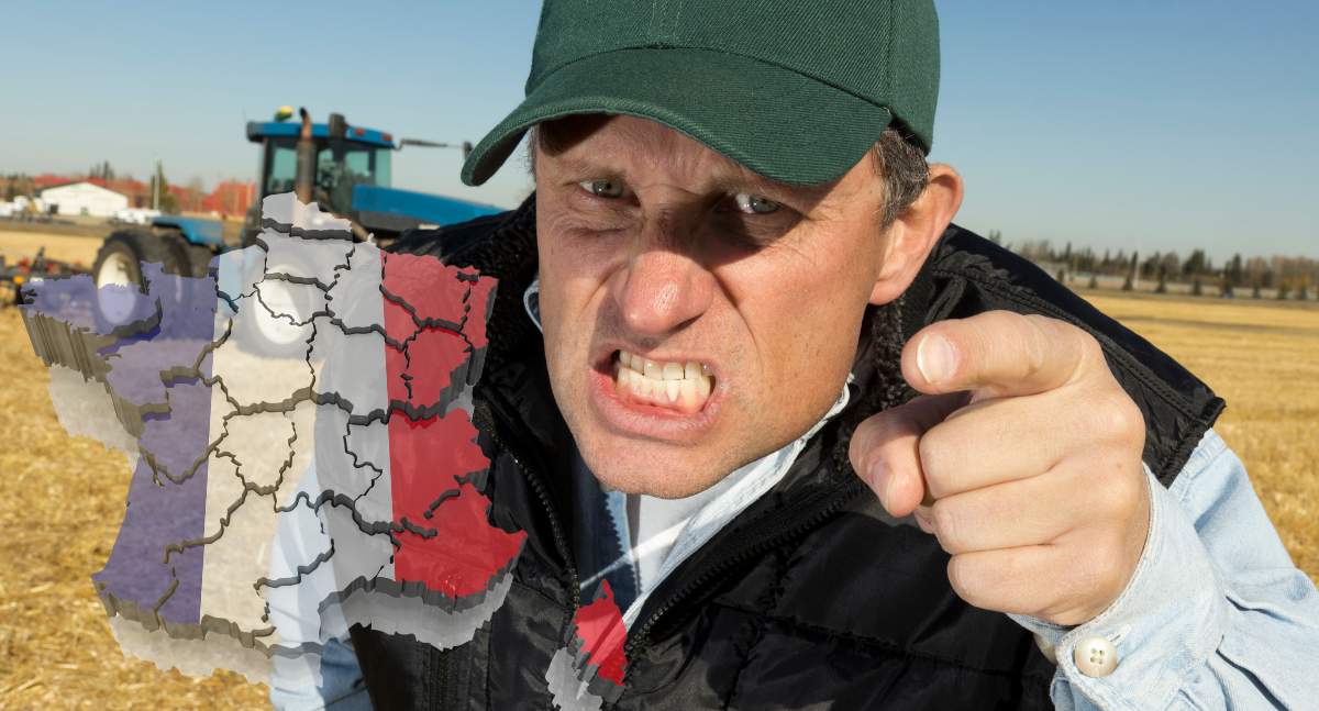 Wzywamy francuskich europosłów do zjednoczenia się w sprzeciwie wobec tej niedopuszczalnej umowy i do obrony naszych producentów" - napisał o Mercosur szef największej organizacji rolniczej we Francji