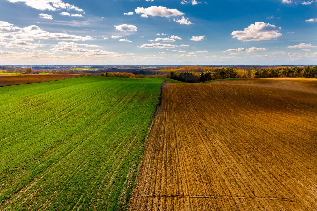 W ostatnich latach można zaobserwować znaczny wzrost cen gruntów rolnych