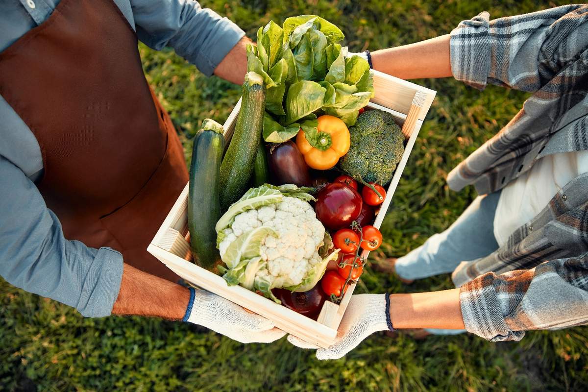 Rolnicy czują się zagrożeni przez politykę zakupową supermarketów - wynika z brytyjskich badań
