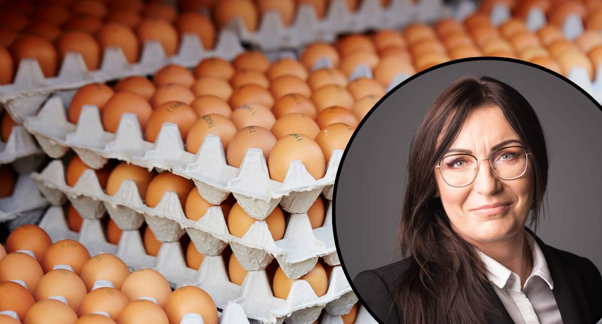 Katarzyna Gawrońska, prezes KIPDIP wskazuje, że na rynku brakuje jaj. Powodem są kłopoty, z jakimi muszą mierzyć się fermy drobiu w związku z grypą ptaków