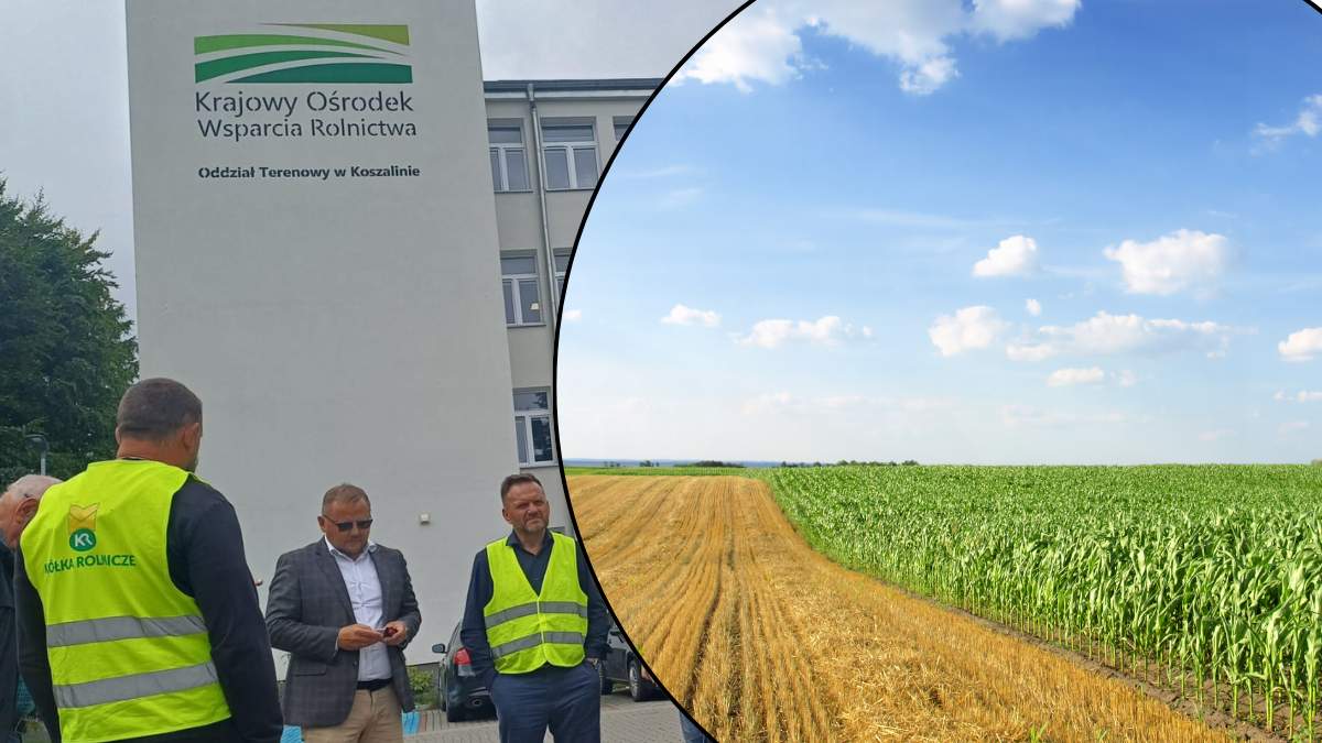 W Koszalinie rolnikom udało się zablokować rozstrzygnięcie przetargu na dzierżawę OPR. Czy będzie tak również jutro - w Pruszczu Gdańskim?