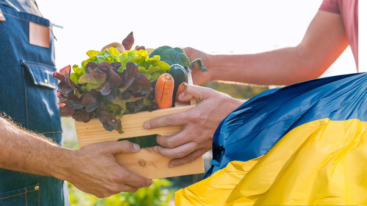 Ilu Ukraińców pobiera emeryturę rolniczą w Polsce? Ilu jest ubezpieczonych w KRUS?