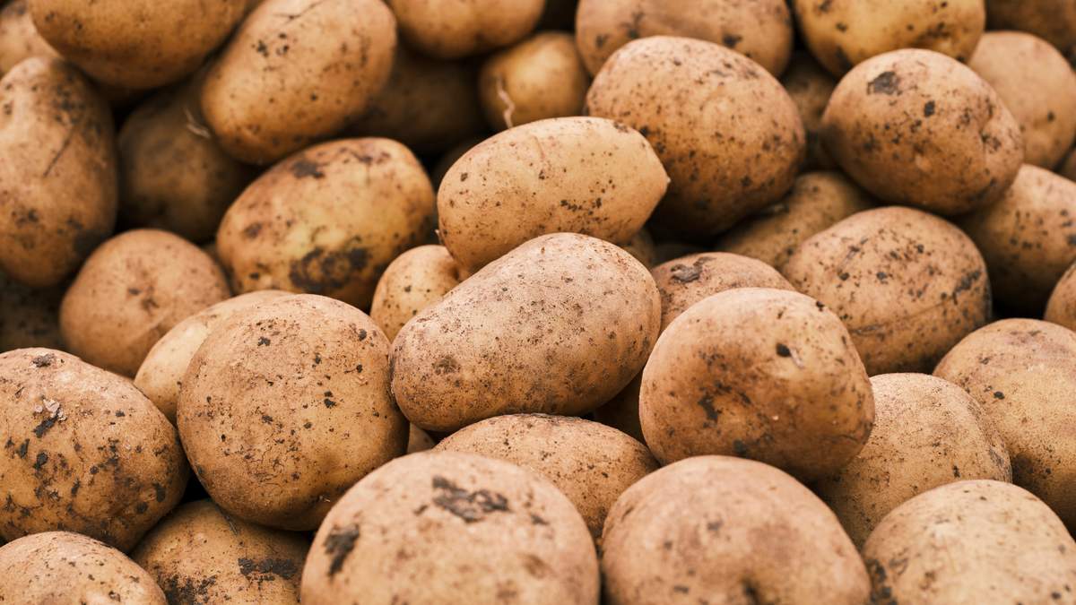 Na rynku w Broniszach w sprzedaży dostępne są też ziemniaki z importu. Czy wpłyną one na niskie już ceny tych krajowych?