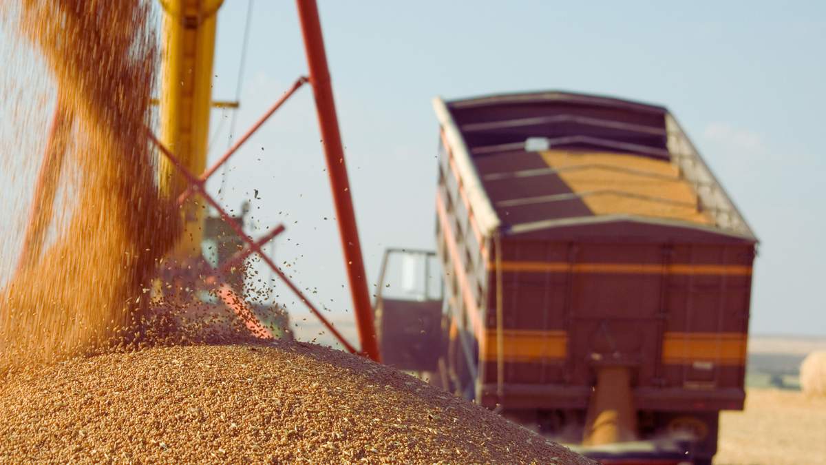 Zabieg fumigacji mogą wykonać odpowiednio wykwalifikowane osoby. Nieodpowiednio przeprowadzony niesie duże ryzyko, nie tylko uszczerbku na zdrowiu, ale nawet śmierci.