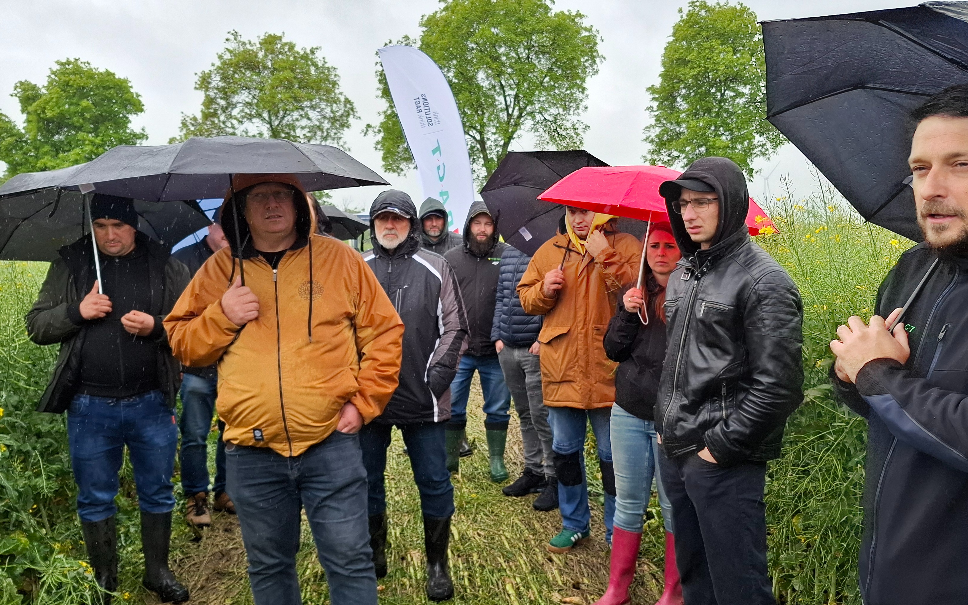 Przystanek Rzepak 2025