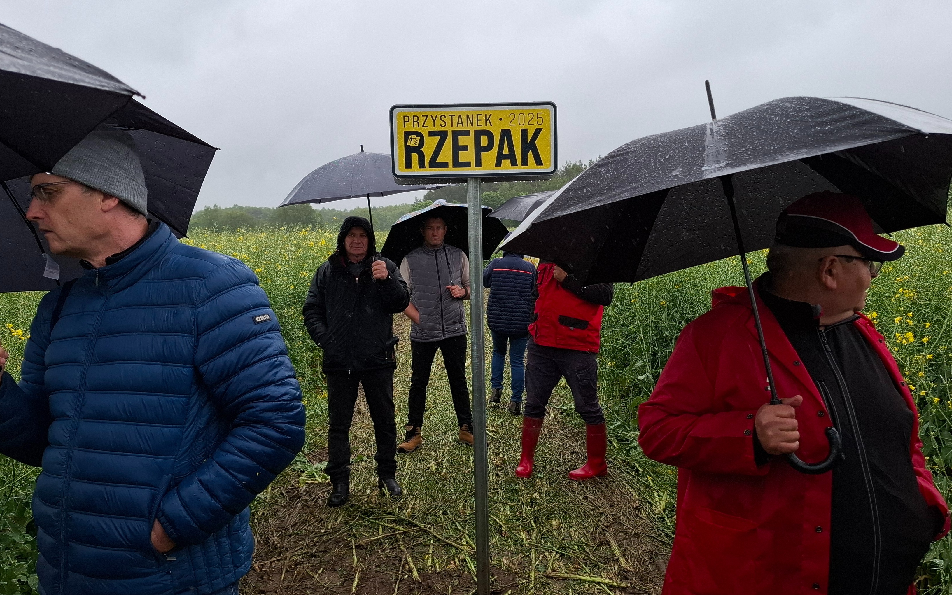 Przystanek Rzepak 2025
